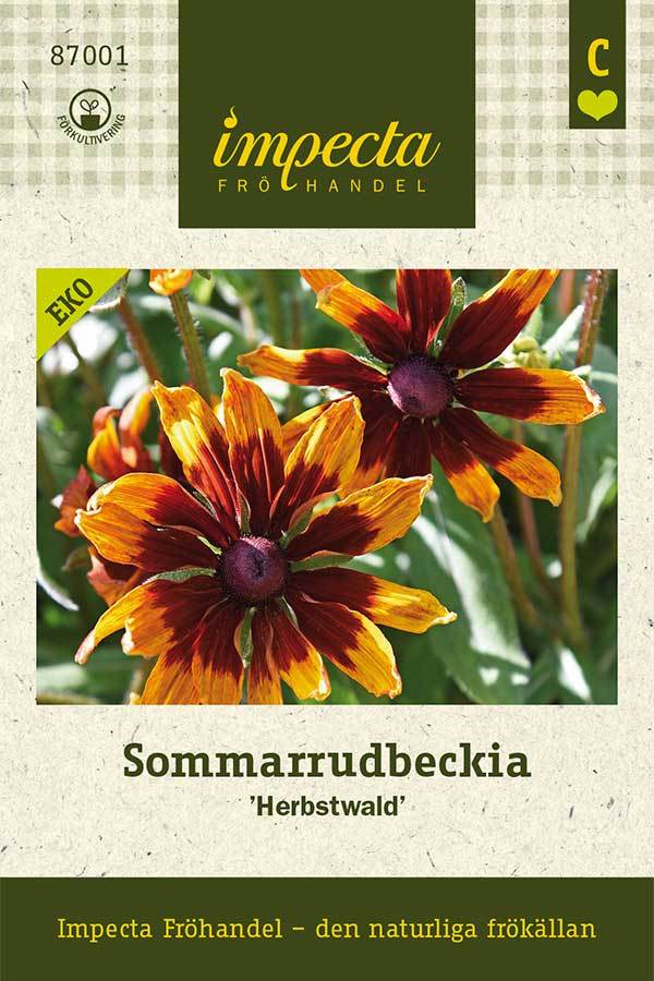 LUOMU Kesäpäivänhattu 'Herbstwald'