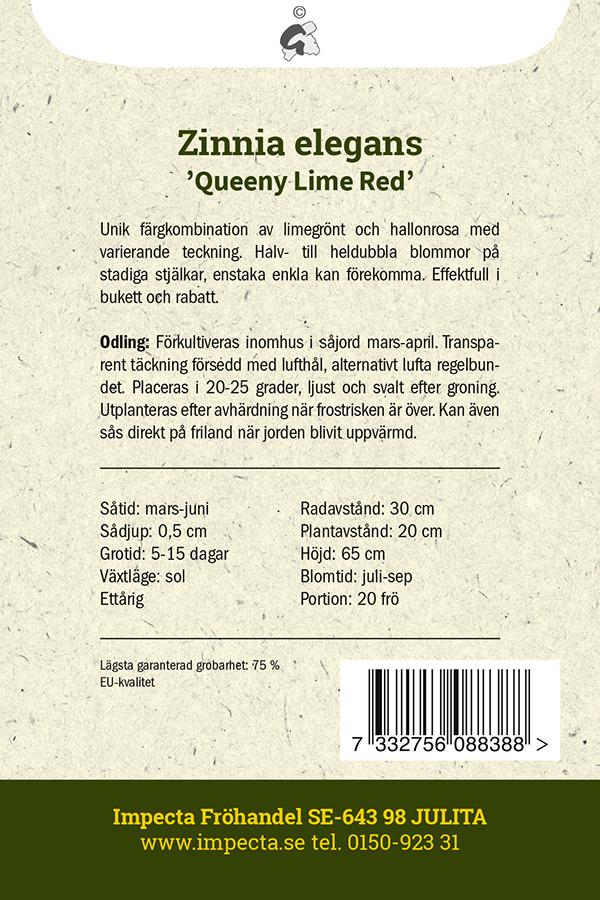 Isotsinnia 'Queeny Lime Red'