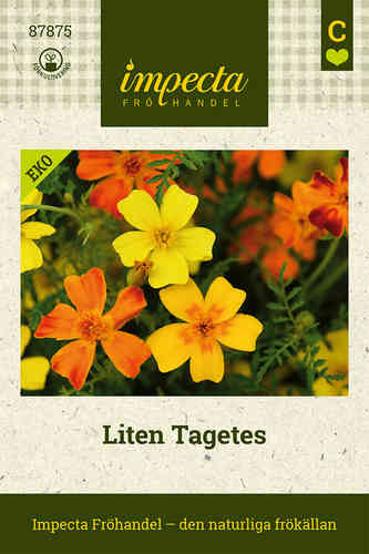 Liten Tagetes