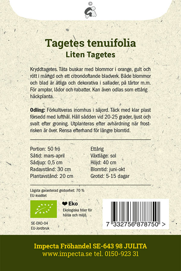Liten Tagetes