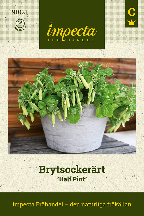 Brytsockerärt 'Half Pint'