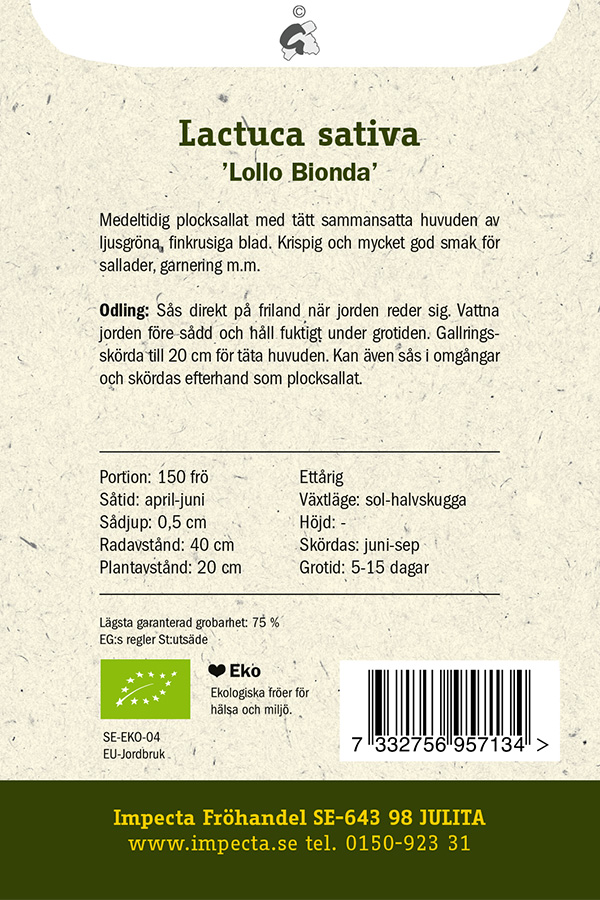 LUOMU Bataviasalaatti 'Lollo Bionda'