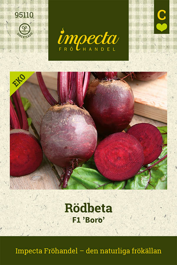 Rödbeta F1 'Boro'