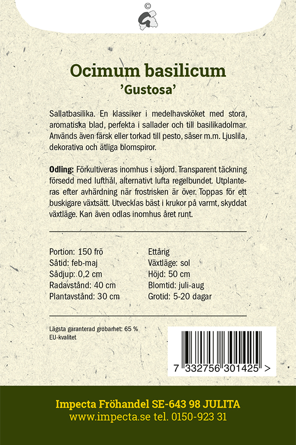 Storbladig Basilika 'Gustosa'