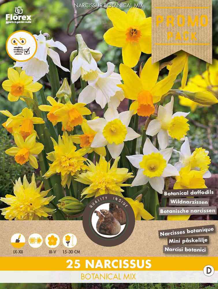Blandning, botaniska narcisser