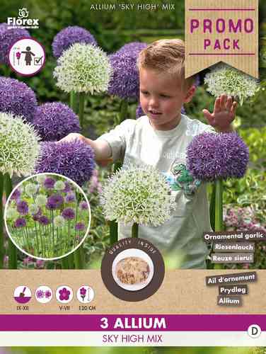 Allium mix 'Sky High'