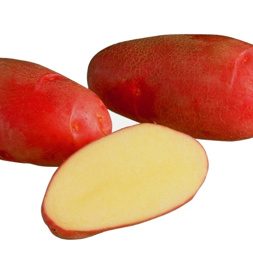 Sättpotatis Rosamunda 3 kg