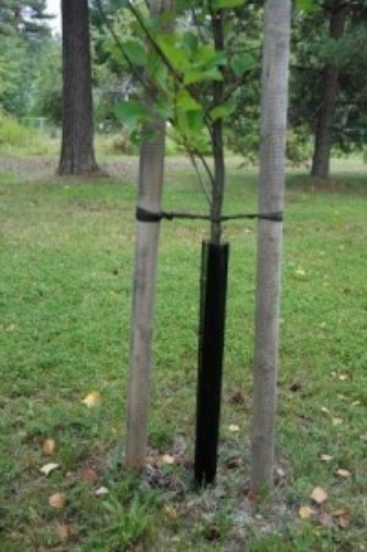 Stamskyddsnät svart 55 cm 1 st