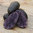 Violetta siemenperuna 1 kg