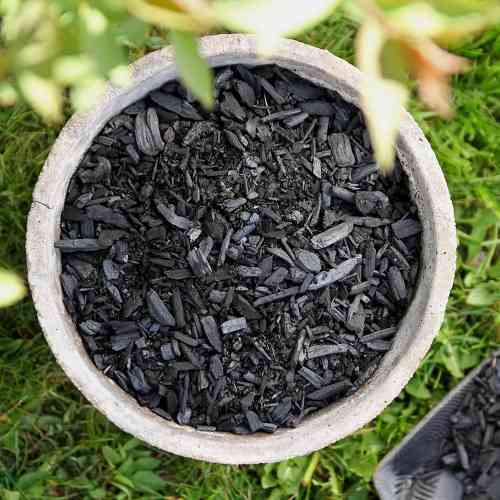 Biohiili Carbons Grow Plus 70 L