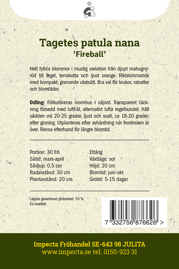 Sammetstagetes 'Fireball'