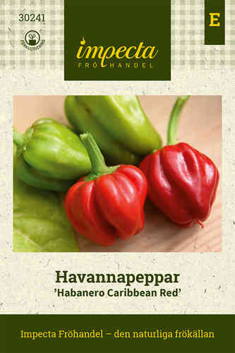 Havannapaprika 'Habanero Caribbean Red'