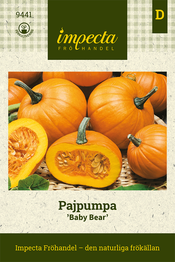 Pajpumpa 'Baby Bear'