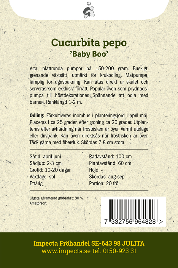 Koristekurpitsa 'Baby Boo'