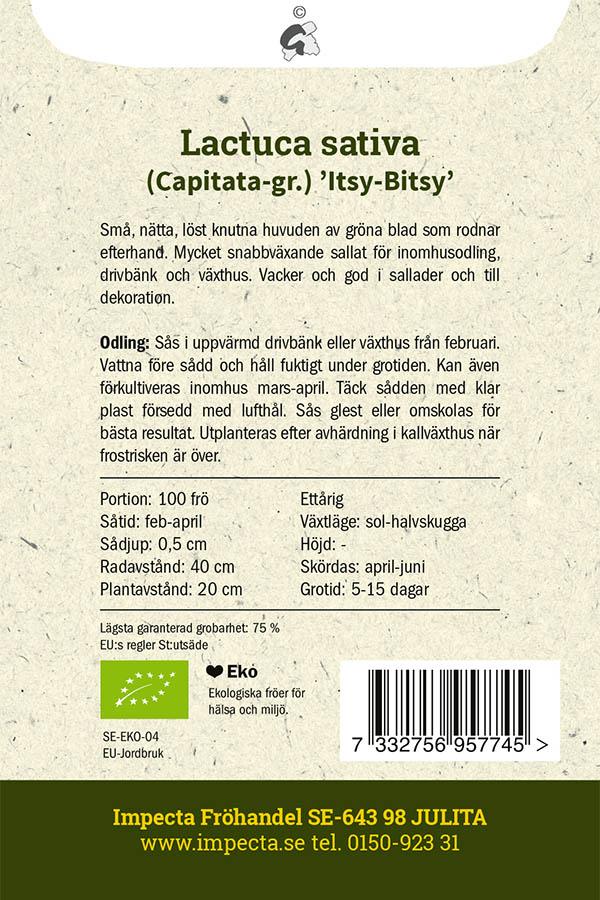 LUOMU Keräsalaatti 'Itsy-Bitsy'