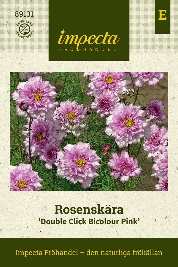 Rosenskära 'Double Click Bicolour Pink'