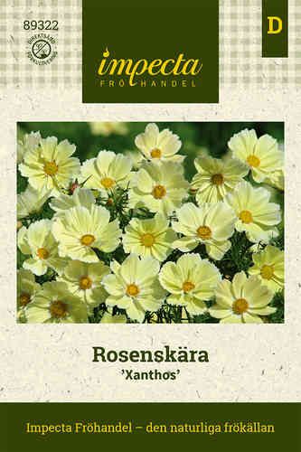 Punakosmos 'Xanthos'