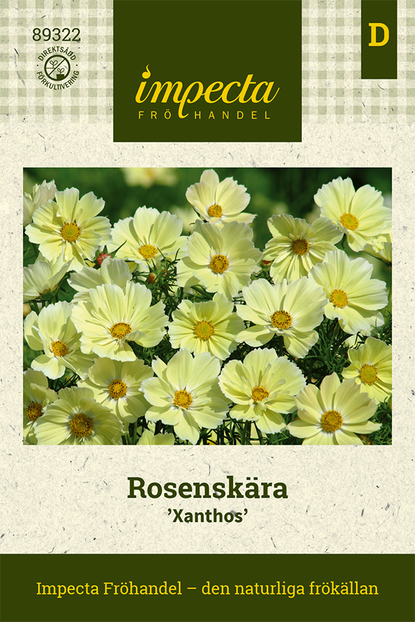 Punakosmos 'Xanthos'