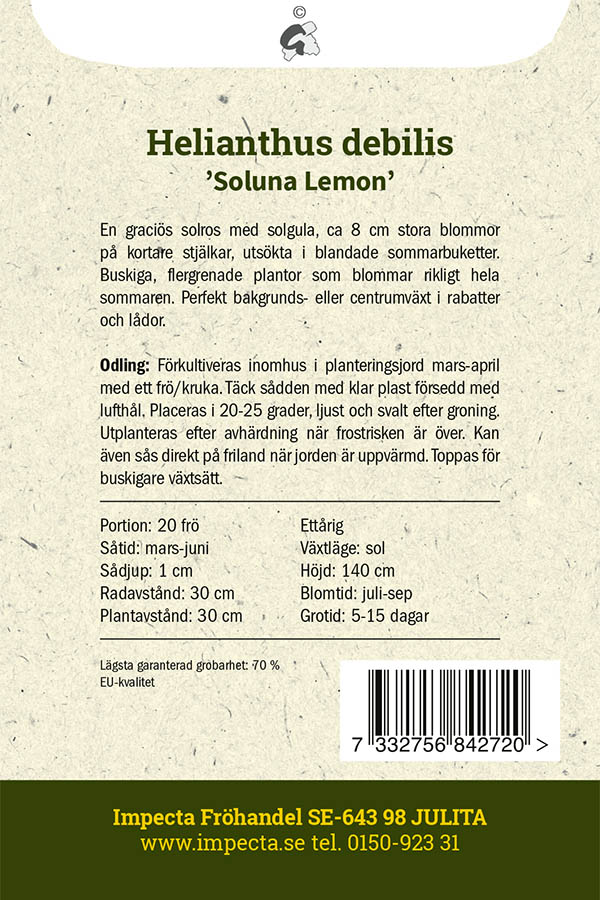 Miniatyrsolros 'Soluna Lemon'