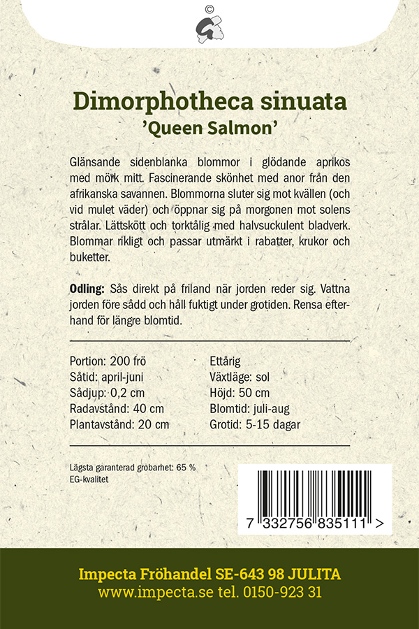 Keltasääkukka 'Queen Salmon'