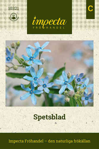 Spetsblad