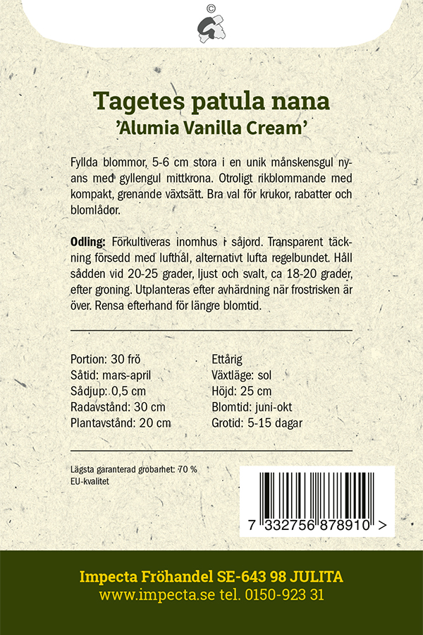 Ryhmäsamettikukka 'Alumia Vanilla Cream'