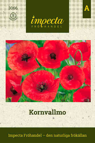 Kornvallmo