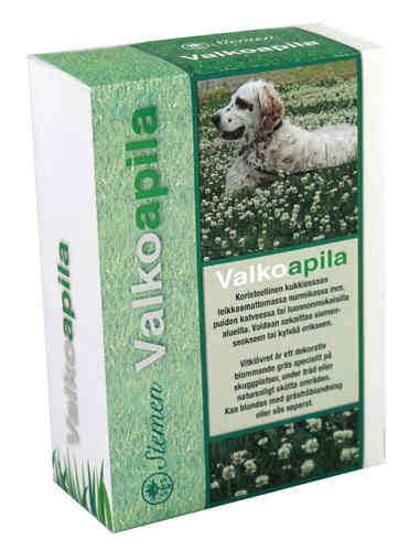 Valkoapila 500 g