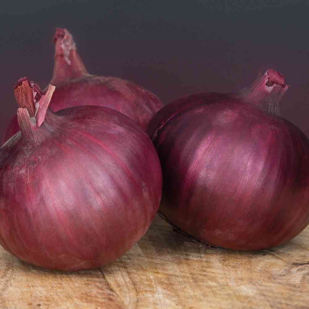EKO Rödlök 'Redlander' 250 g
