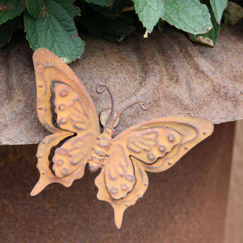 Perhonen magneetilla 