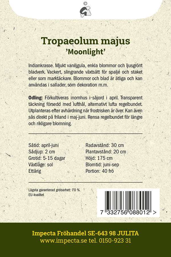 Indiankrasse 'Moonlight'