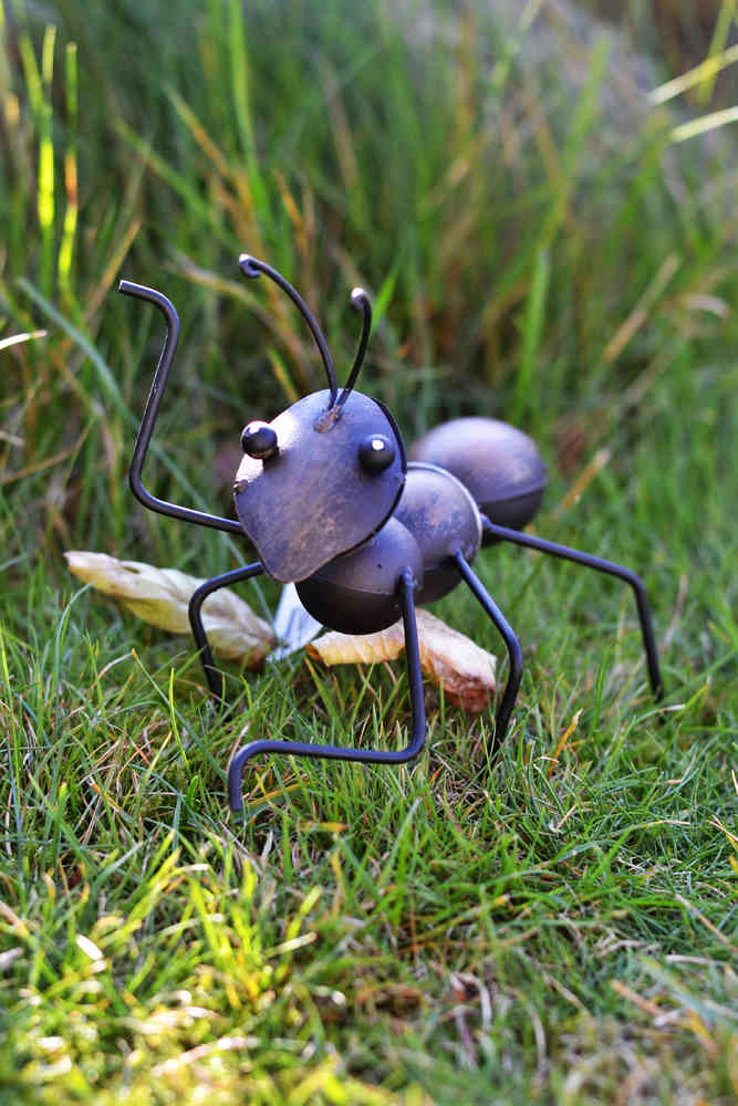 Muurahainen