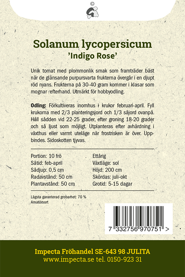 Tomat 'Indigo Rose'