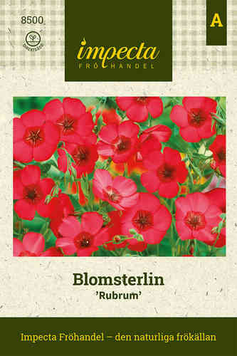 Punapellava 'Rubrum'