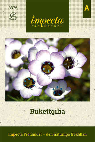 Bukettgilia