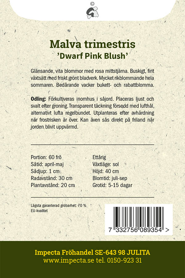 Kesämalvikki 'Dwarf Pink Blush'