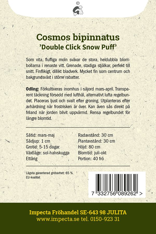 Punakosmoskukka 'Double Click Snow Puff'