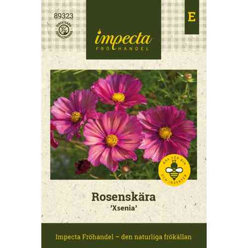 Punakosmos 'Xsenia' Punakosmos 'Xsenia'