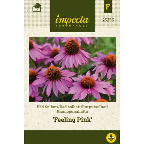 Kaunopunahattu 'Feeling Pink' Kaunopunahattu 'Feeling Pink'