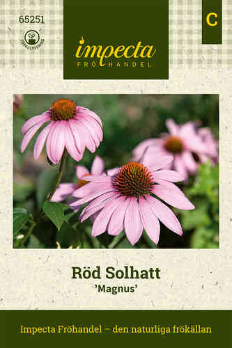 Röd Solhatt 'Magnus'