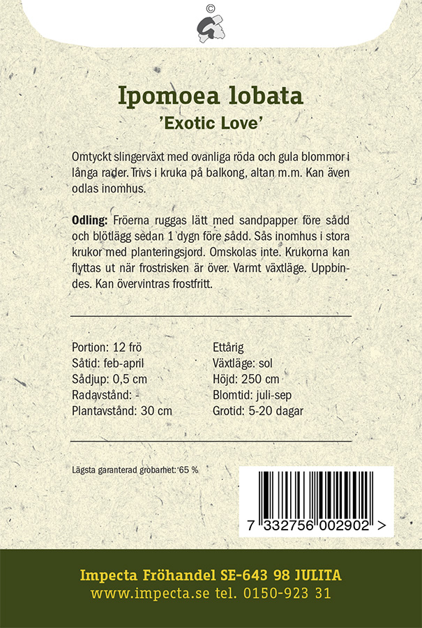 Miinanköynnös 'Exotic Love'