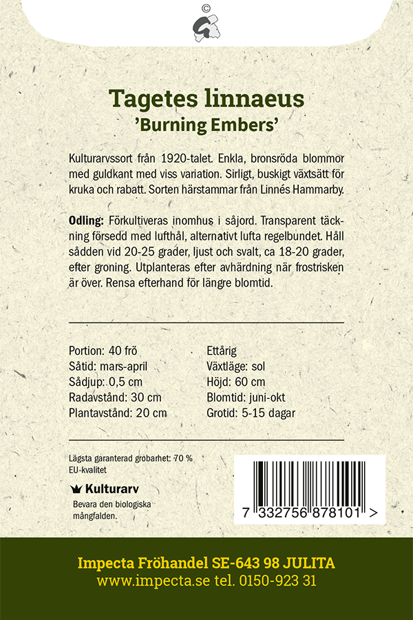 Linnétagetes 'Burning Embers'