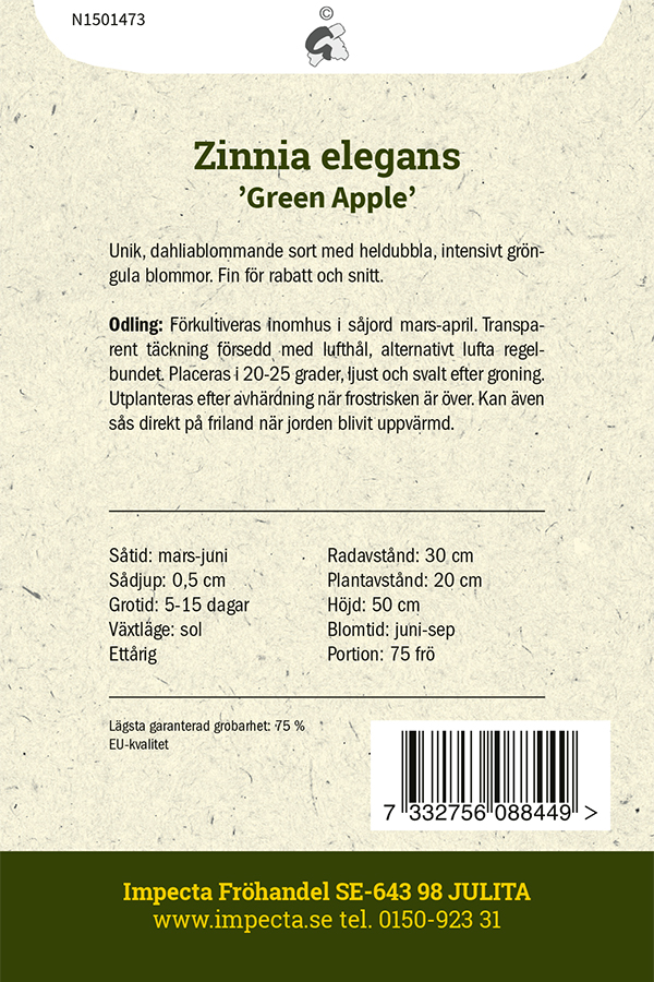 Zinnia 'Green Apple'