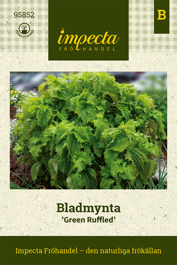 Bladmynta 'Green Ruffled'