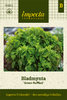 Veripeippi 'Green Ruffled'