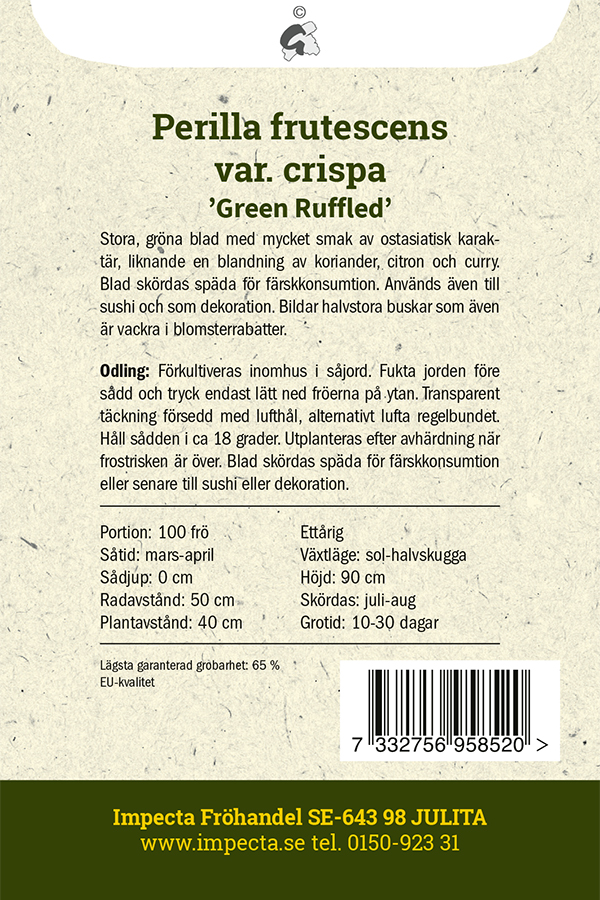 Bladmynta 'Green Ruffled'