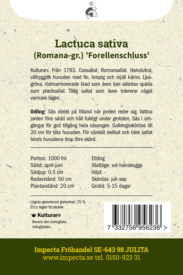 Bindsallat 'Forellenschluss'