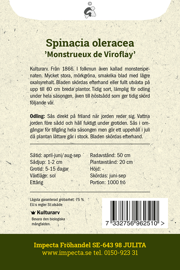 Pinaatti 'Monstrueux de Viroflay'