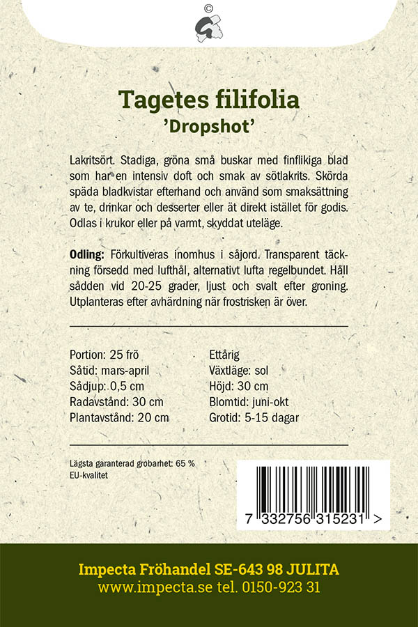 Lakritstagetes 'Dropshot'