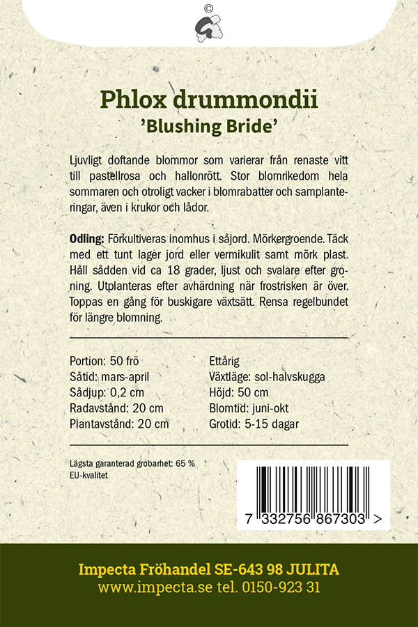 Kesäleimu 'Blushing Bride'